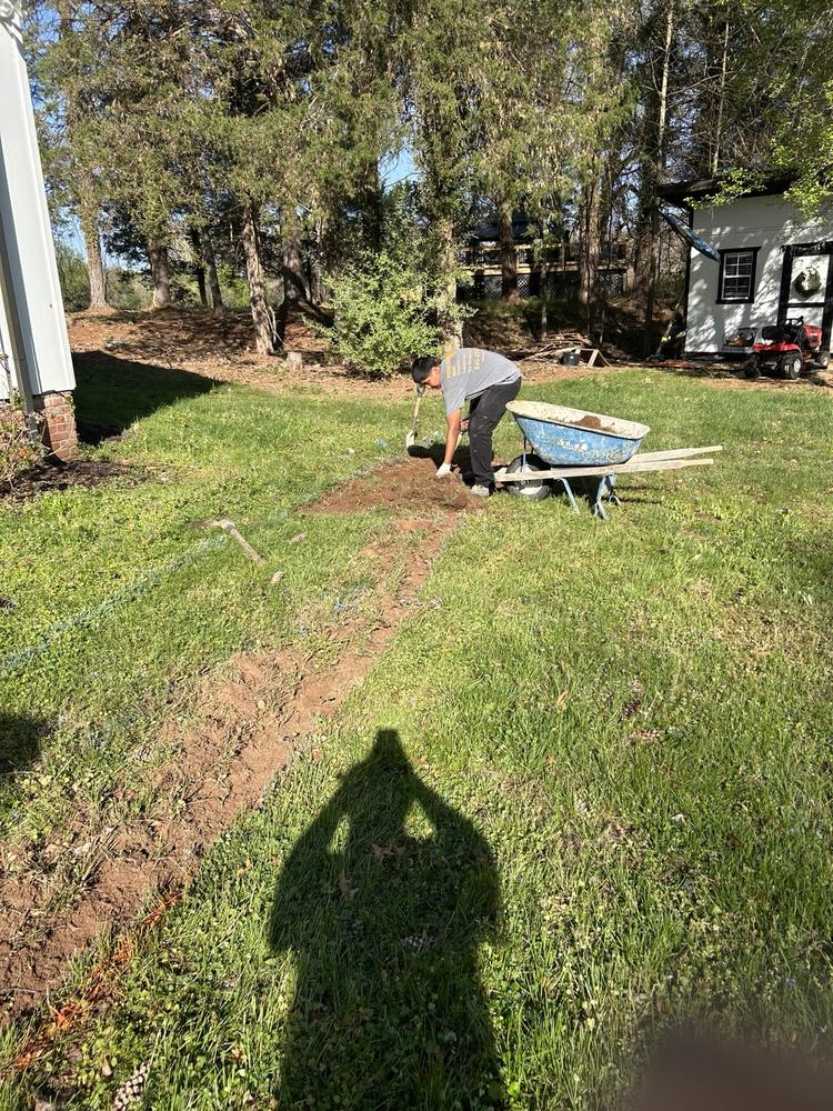 Yard preparation